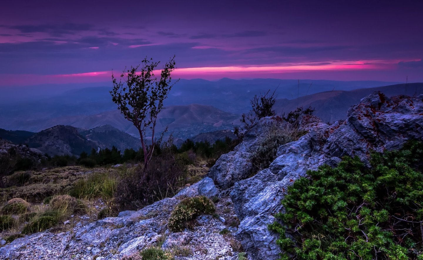 sierra-nevada-sierra-nevada-spain-mountain-sunset-sky-tree-landscape 